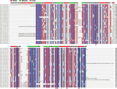 A triphosphate tunnel metalloenzyme from pear (PbrTTM1) moonlights as an adenylate cyclase